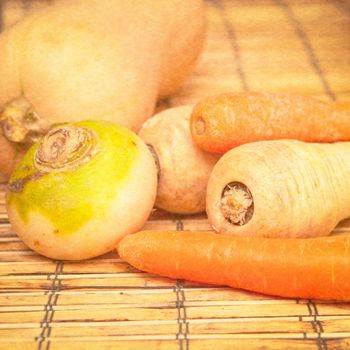 Textured photograph of freshly harvested winter root crop