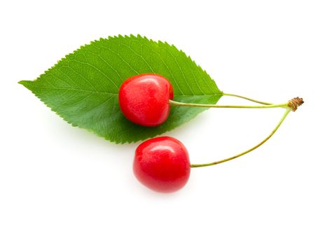 Two cherry with a green leaf on white background. 