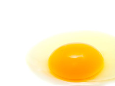 egg