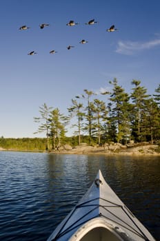 A flock of geese flyings over the rocky island while the person in the kayak looks on