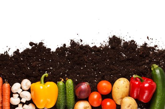 vegetables on the soil