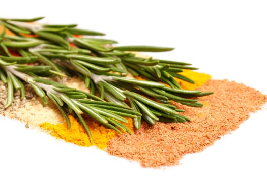spices background with rosemary, closeup