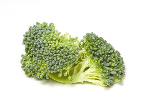 A small piece of brocolli isolated on a white background