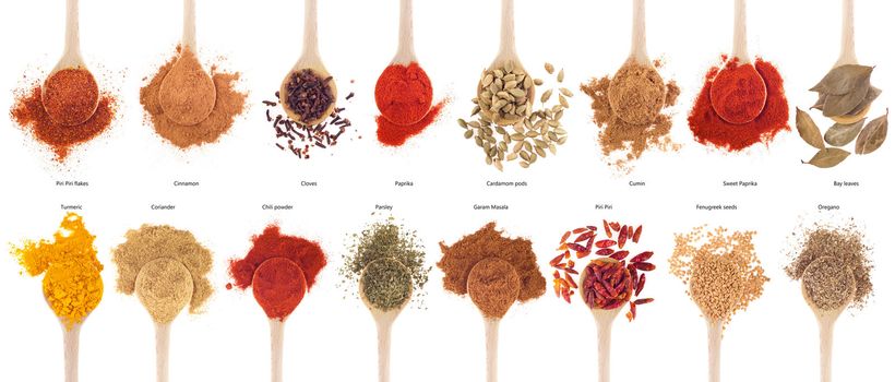 gorgeous collection of 16 spices on wooden spoons (cumin, coriander, cloves, curry, chili, piri piri, cinnamon, cardamom, fenugreek,  garam masala, oregano, parsley, paprika, turmeric, bay) isolated on white background