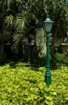antique lamp post surrounded by nature (vibrant plants and palm trees)