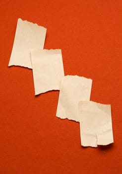 Scraps isolated on red background