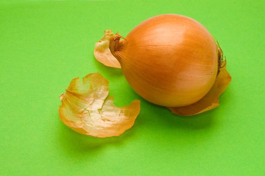 Onion isolated on green