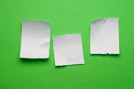 Scraps isolated on green background