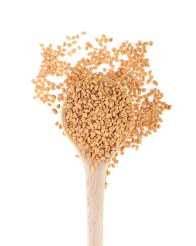 fenugreek seeds spice on a wooden spoon, isolated on white background