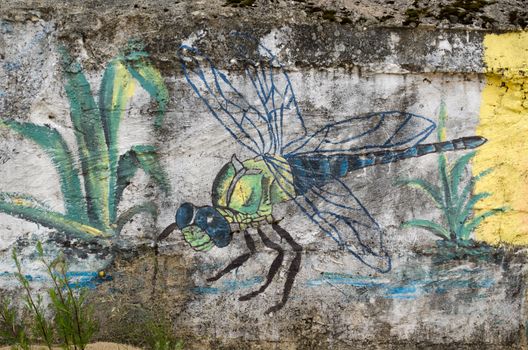 colorful damselfly dragon-fly painted draw on dirty grunge wall background.