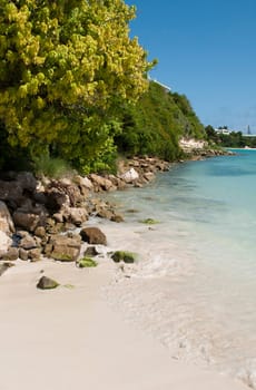 paradisiac beach with a gorgeous coast with nature and stones, Long Bay in Antigua