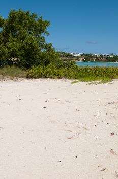 white sandy beach at Long Bay surrounded by tropical nature, Antigua