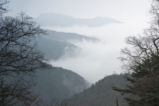 Shennongjia beauty - was taken in Hubei, China