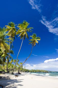 Cumana Bay, Trinidad