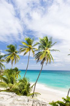 Bottom Bay, Barbados, Caribbean