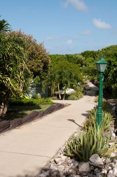 pathway in a tropical resort surrounded by tropical nature (aloe vera and palm trees) and lamp post