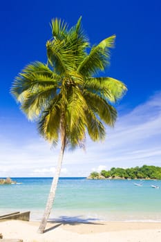 Parlatuvier Bay, Tobago