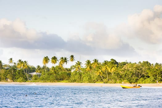 Turtle Beach, Tobago