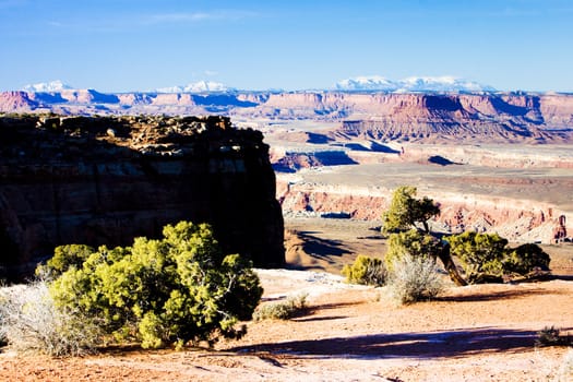 Canyonlands National Park, Utah, USA