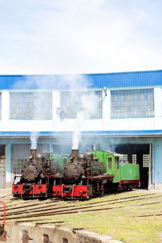 steam locomotives in depot, Kostolac, Serbia