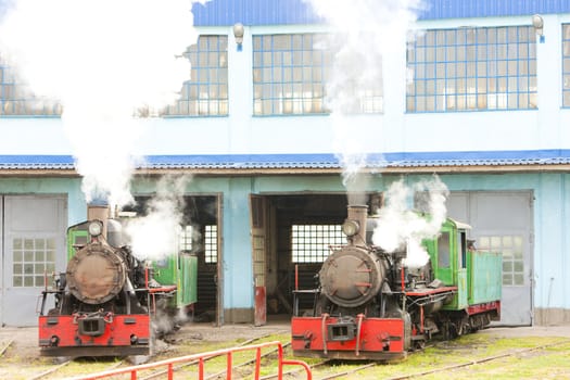 steam locomotives in depot, Kostolac, Serbia