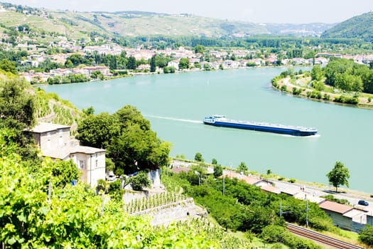 vineyard of Chateau Grillet, Rhone-Alpes, France