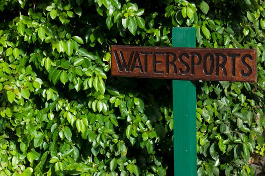 watersports sign on a vibrant green leaves background