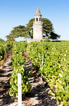 Chateau de la Tour, By, Bordeaux Region, France