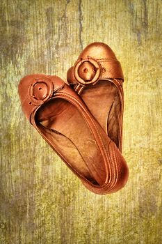A nic leather pair of ladies's shoes on a wooden floor