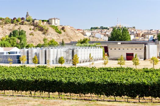 winery in La Rioja, Spain