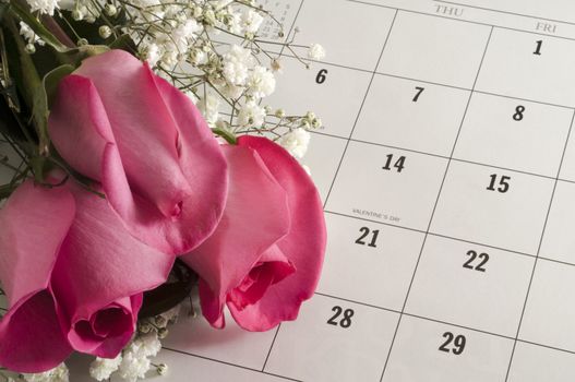 Pink roses on a calender open to Valentine's Day