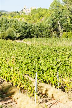 castle in Durban-Corbiere with vineyards, Languedoc-Roussillon, France