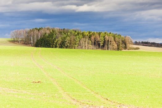 autumn landscape, Czech Republic