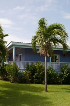 gorgeous villa on a luxury resort and a gorgeous palm tree, Antigua