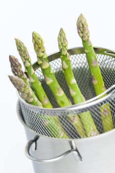 green asparagus in pot