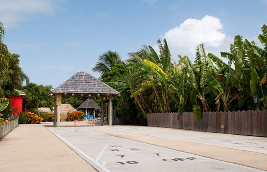 outdoor shuffleboard court in a tropical resort (gorgeous flora and sky)