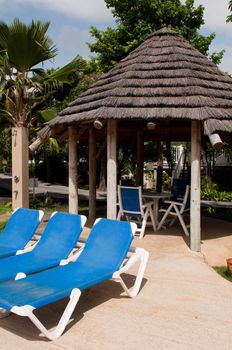 gorgeous swimming pool area with chairs and big umbrella or bungalow on a tropical resort (surrounded by palm trees)