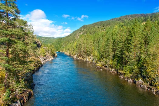 Mountain river in summer