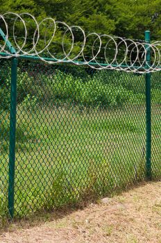 barbed wire and circular razor wire on a green fence (tropical nature background)