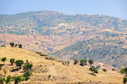 Typical cyprus nature mountains landscape