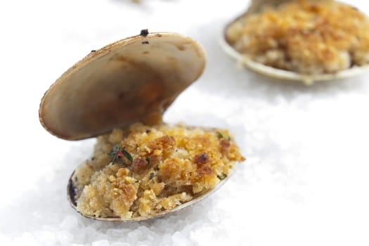 baked vongole
