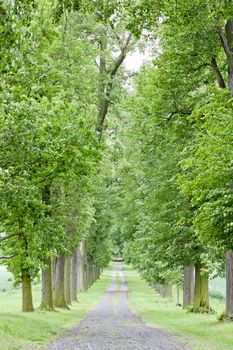 spring alley