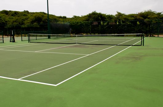 green modern hardcourt tennis (surrounded by tropical nature)