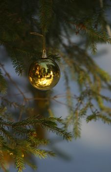 Christmas tree with gold ball in outdoor
