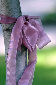Pink tape fastened on a tree