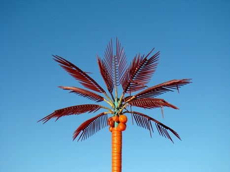 palm tree jutting out against a blue sky