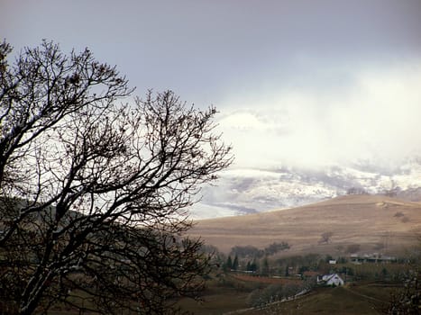 Landcape photo, tree in foreground, Oregon hills with snow in background 