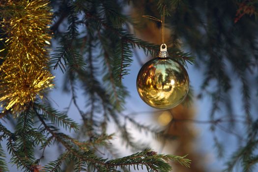 Christmas tree with gold ball