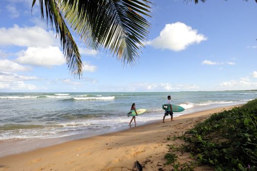 Surfers walking on the beach in Praia do Forte in Salvador de Bahia, Brazil