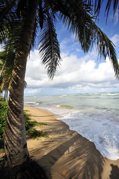 Praia do Forte in Salvador de Bahia, Brazil